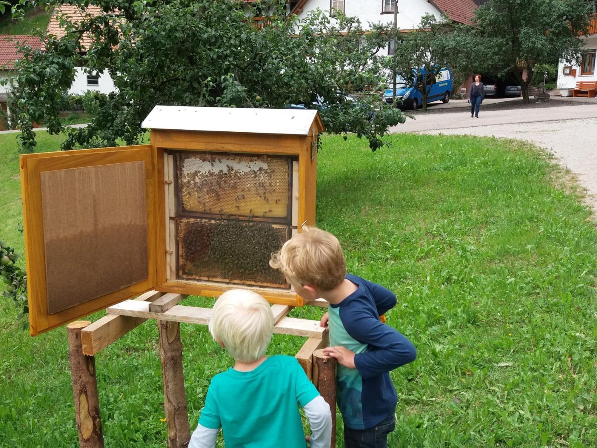 דירות באד פטרסטאל-גריסבאך Holderstanzenhof מראה חיצוני תמונה
